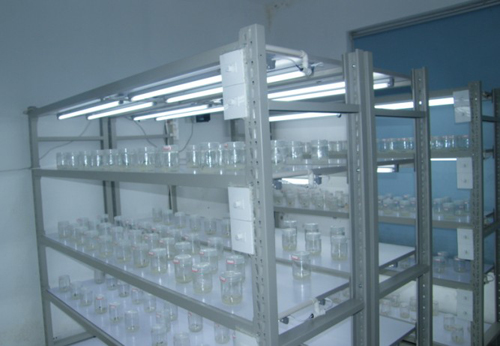 OGP-2���B(y��ng)�����M����������