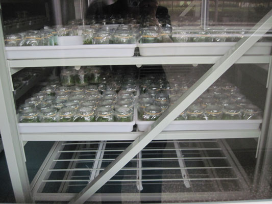 OGP-3���B(y��ng)�ܣ��M����������